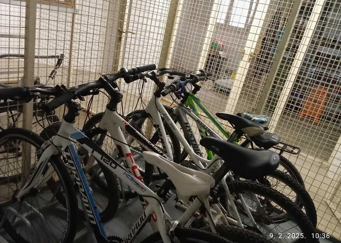 Izabela 5g * 메덜린